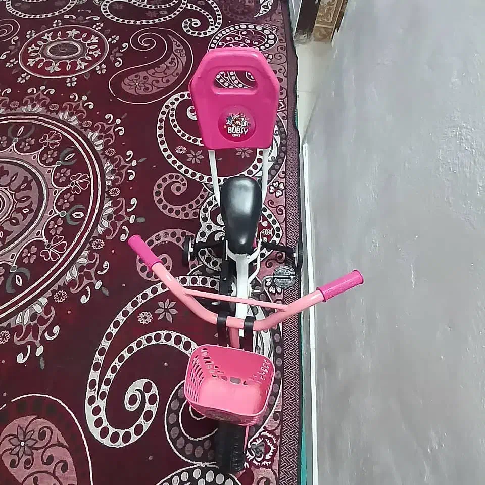 دوچرخه ونخل بریحی دارم|دوچرخه، اسکیت، اسکوتر|شادگان, |دیوار