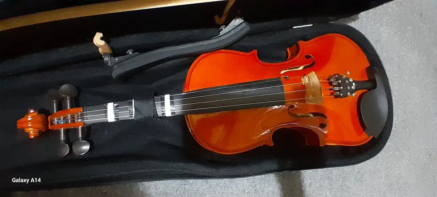 ویالن فروشی|ویولن|صفادشت, |دیوار