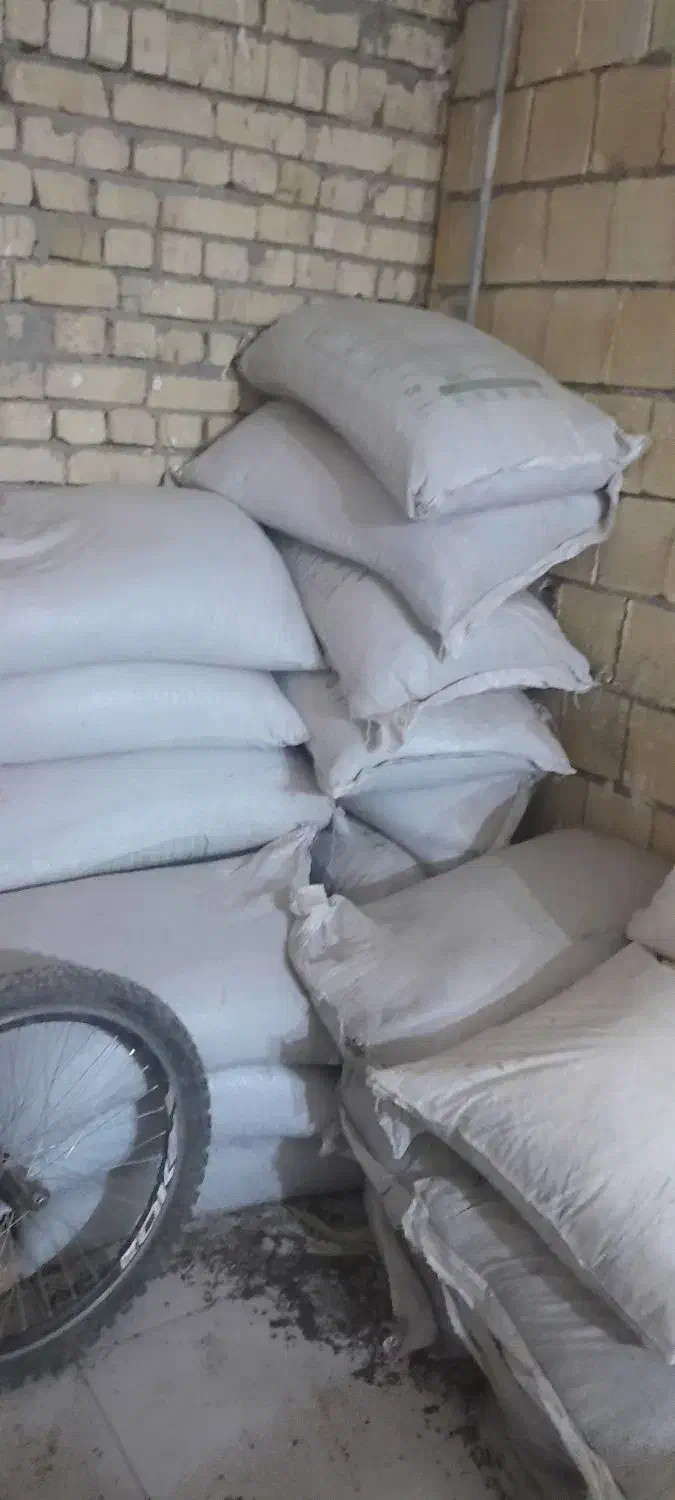 کود ریشه.. کامل|گل و گیاه طبیعی|کوهدشت, |دیوار