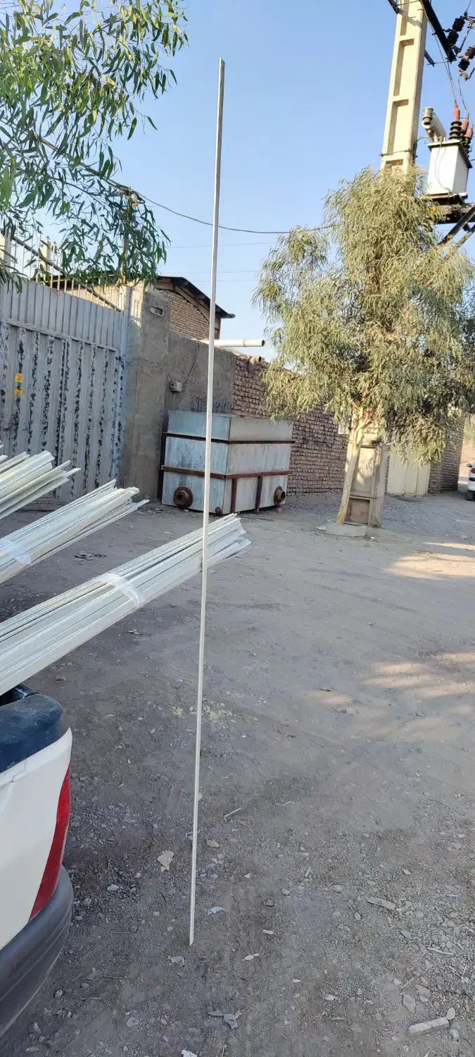 کفترنی بندی|پرنده|خاوران, |دیوار