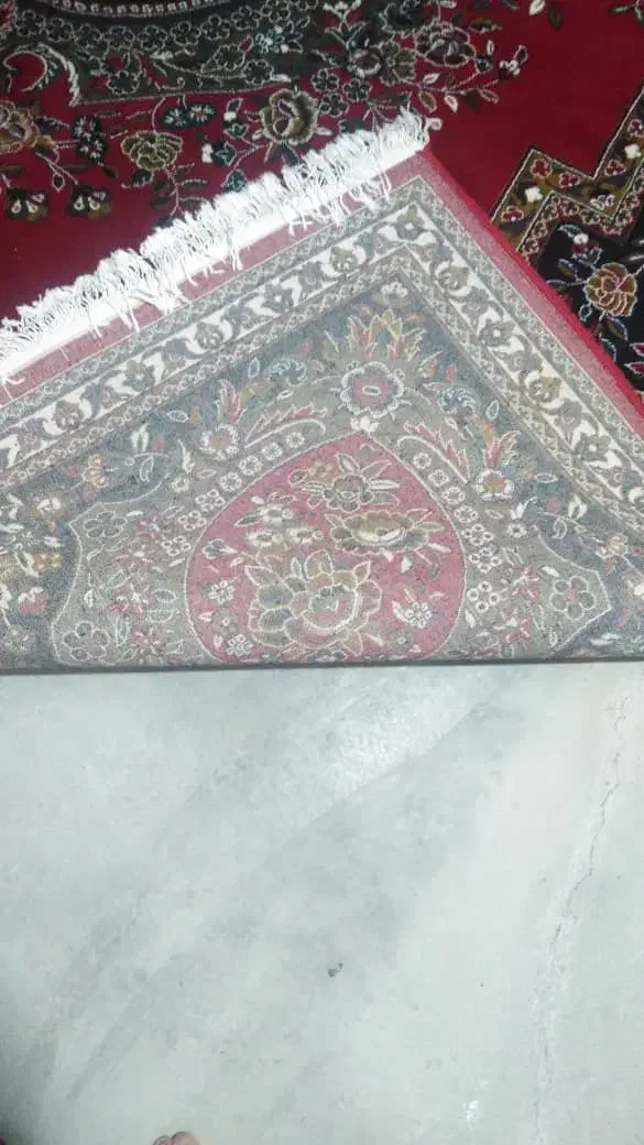 فرش|فرش|خورموج, |دیوار