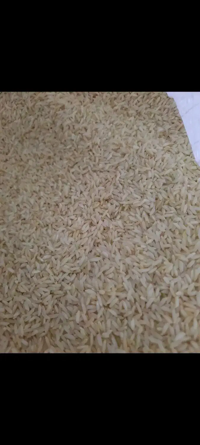 برنج محلی|خوردنی و آشامیدنی|سیلاخور, |دیوار