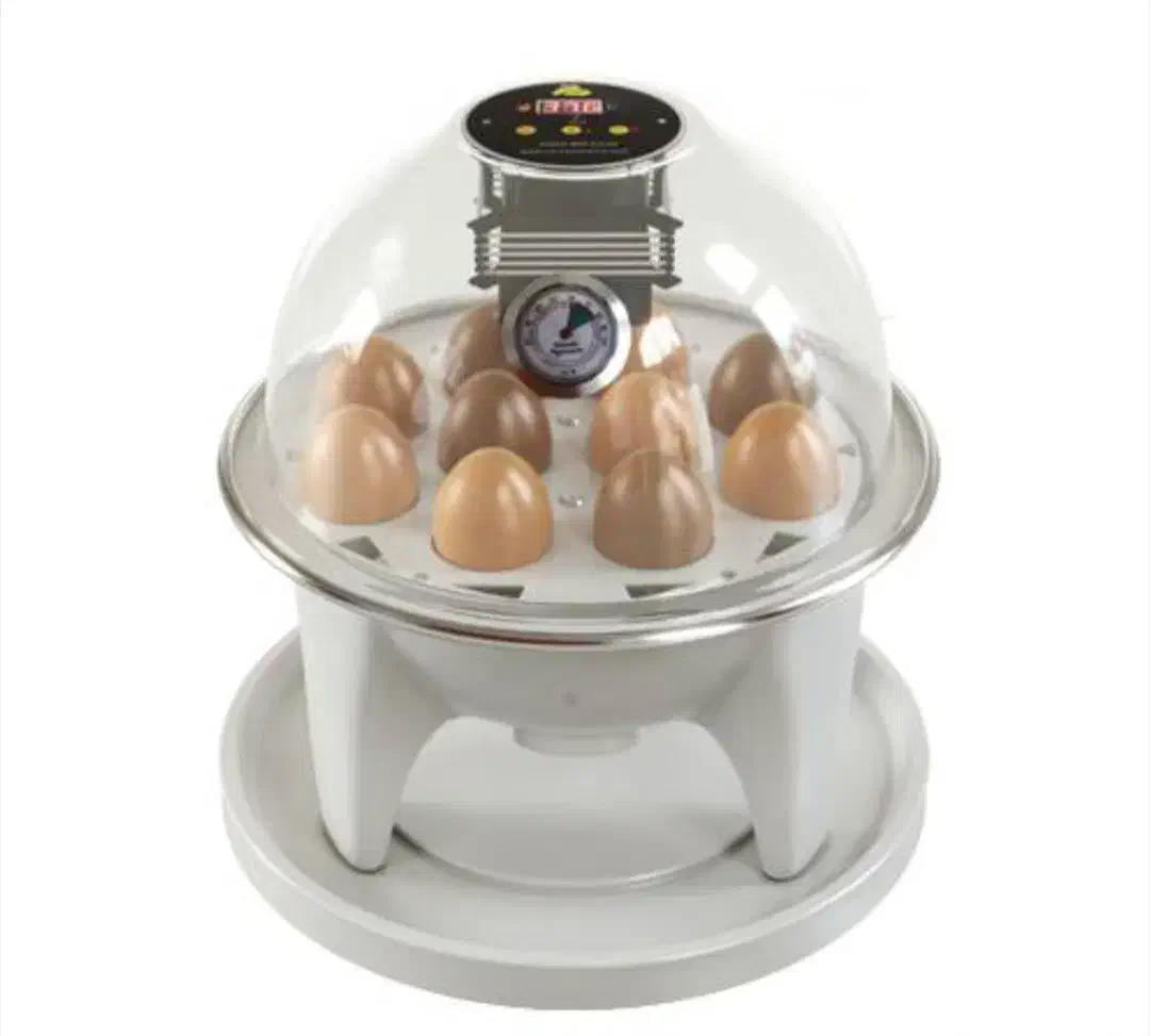 دستگاه جوجه کشی ده تایی|لوازم جانبی حیوانات|کرج, فاز ۴ مهرشهر|دیوار