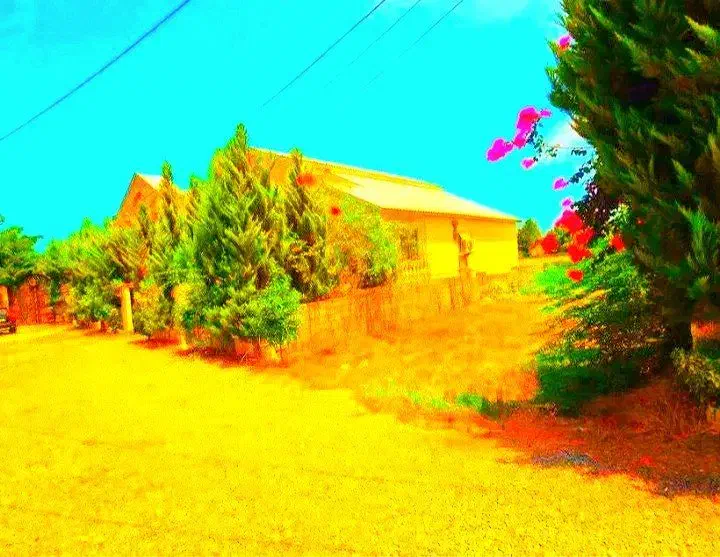 زمین۲۰۰متری نبض جنگل+انشعاب سر ملک|فروش زمین و ملک کلنگی|ایزدشهر, |دیوار