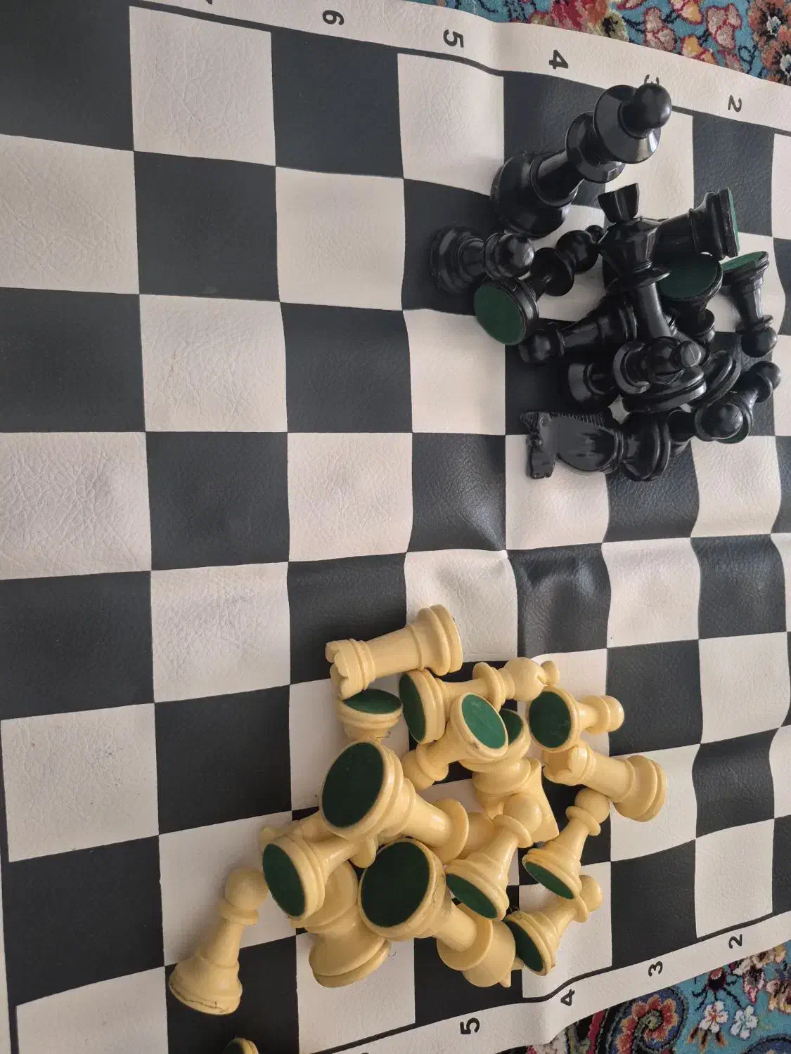 شطرنج|کلکسیون و سرگرمی|شیراز, شیخ علی چوپان|دیوار