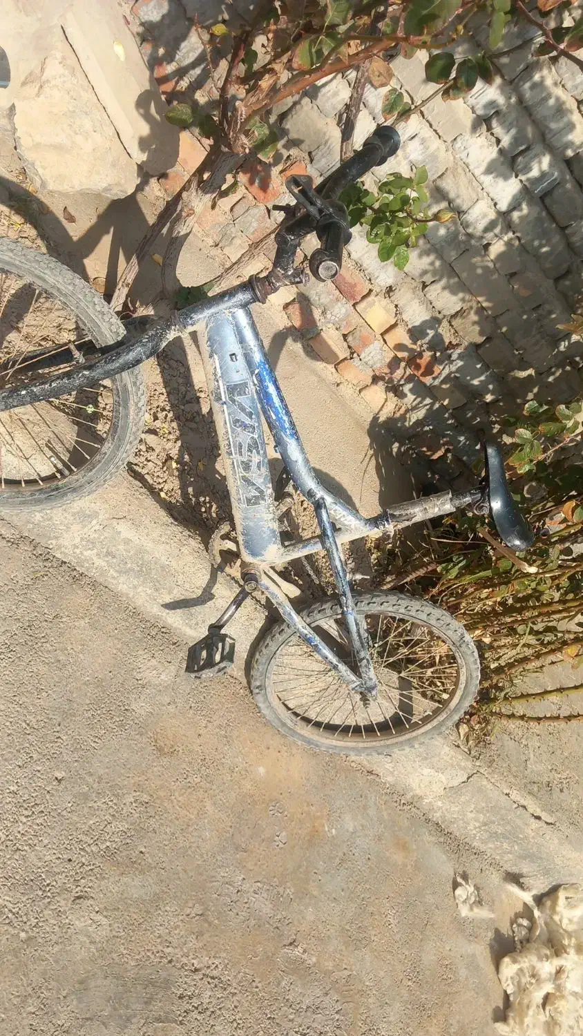 دوچرخه|دوچرخه، اسکیت، اسکوتر|نوشین شهر, |دیوار