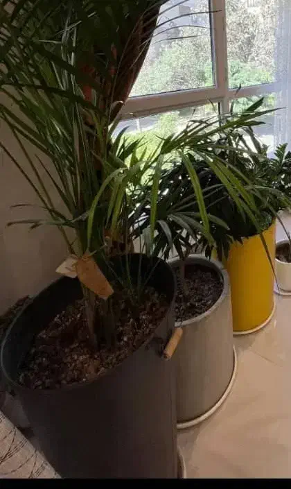 استخدام سرایدار|استخدام سرایداری و نظافت|تهران, فردوس|دیوار