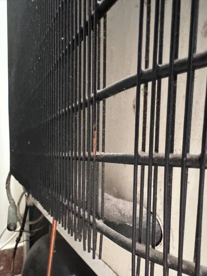 فریزر پارس|یخچال و فریزر|تبریز, |دیوار