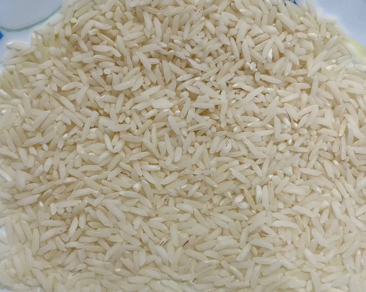 برنج طارم هاشمی سیدمحله|خوردنی و آشامیدنی|ساری, |دیوار