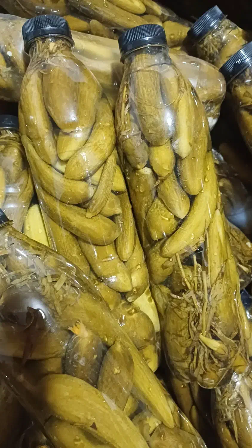 خیارشور|خوردنی و آشامیدنی|شیراز, گلدشت معالی‌آباد|دیوار