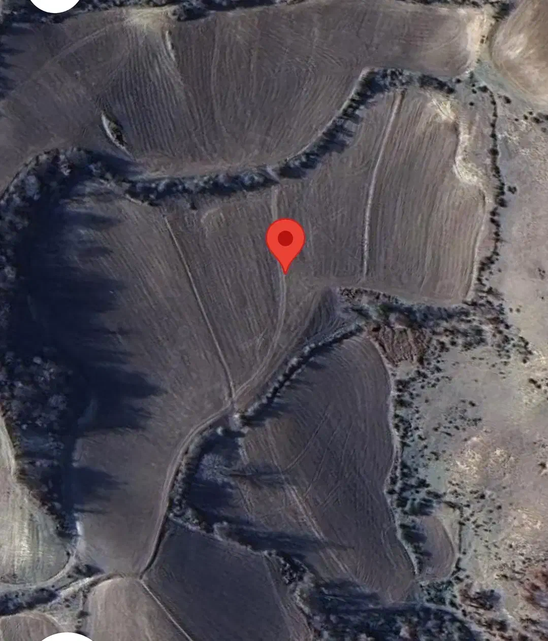 زمین کشاورزی مخصوص باغ|فروش زمین و ملک کلنگی|دوزین, |دیوار