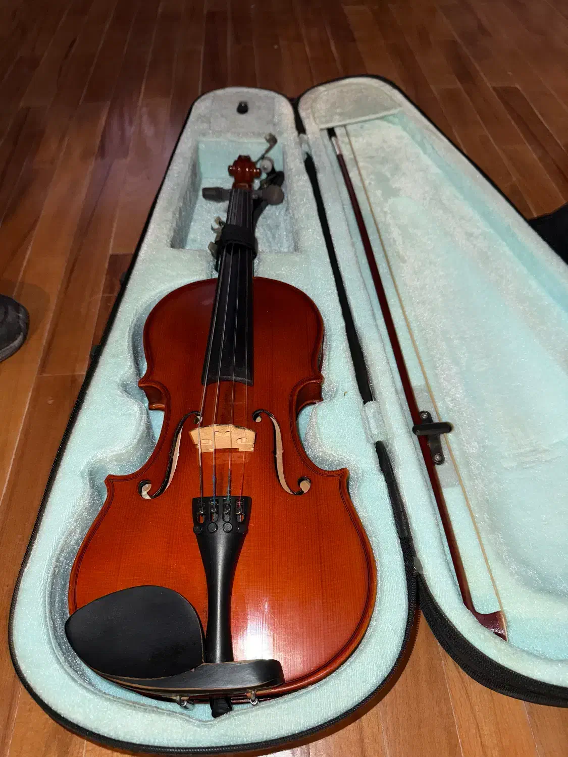 ویالون|ویولن|همدان, |دیوار