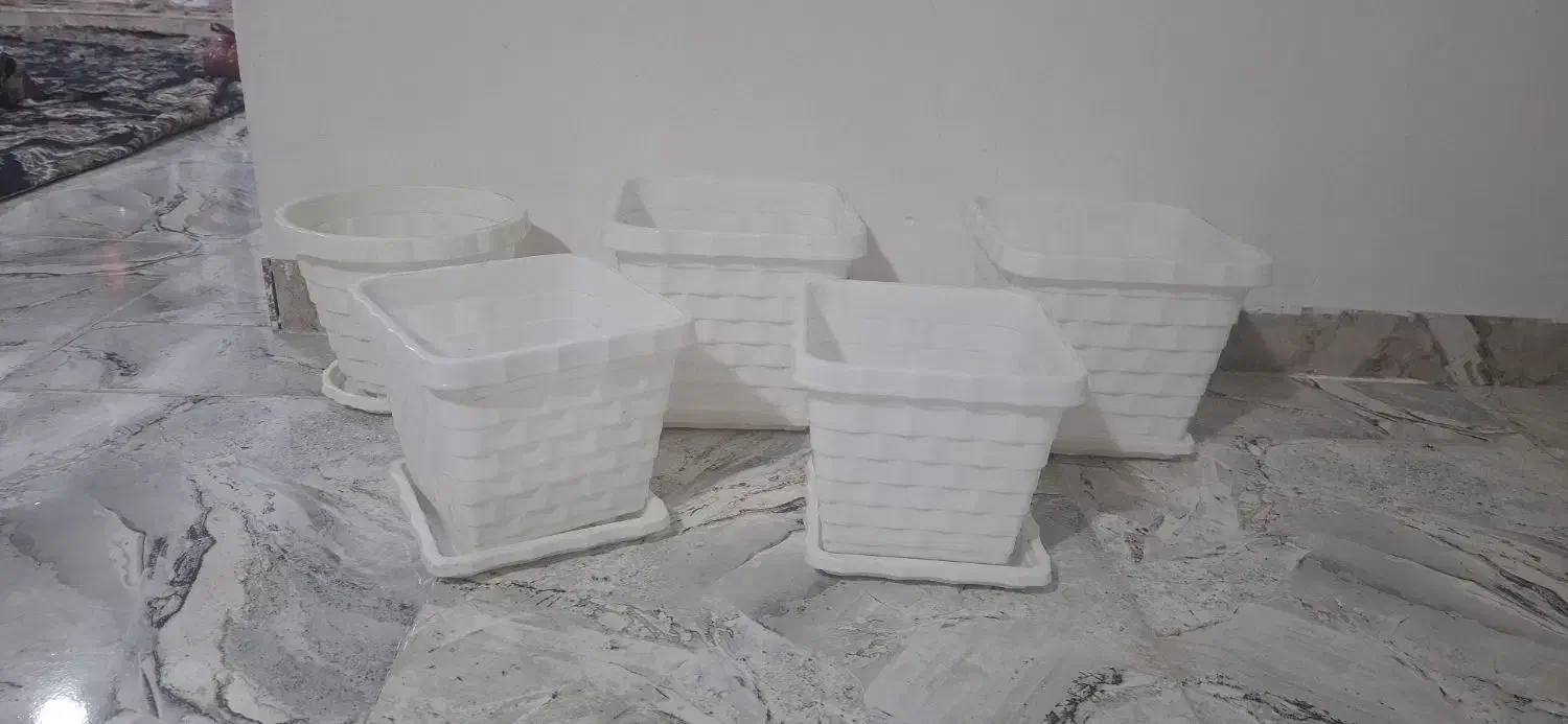 گلدان پلاستیکی گل طبیعی|گل و گیاه طبیعی|رباط‌کریم, نصیرشهر|دیوار