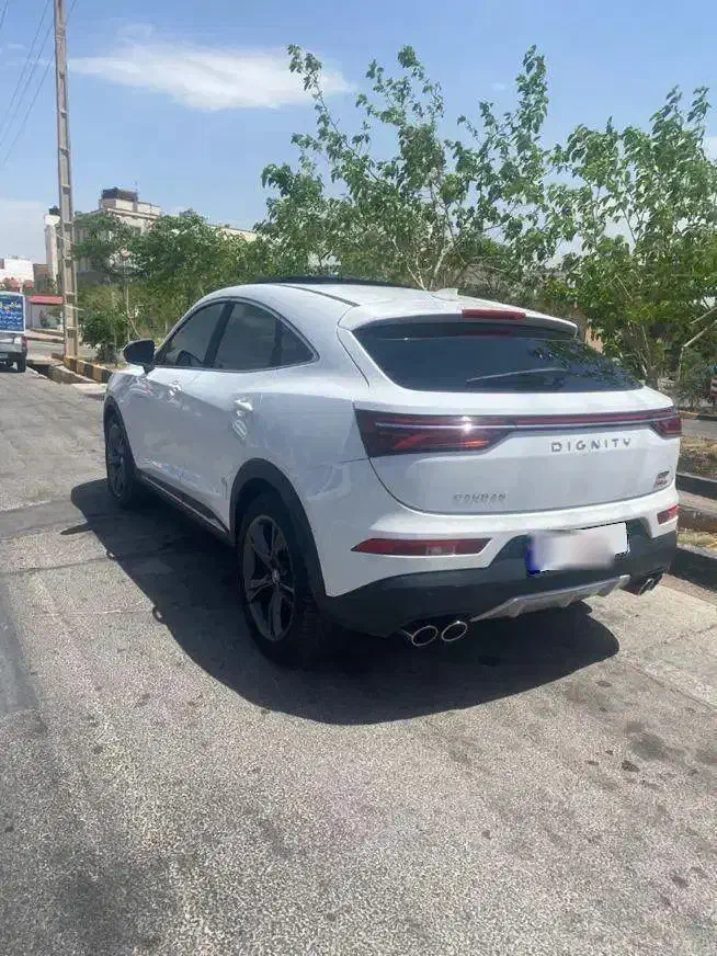 دیگنیتی پرستیژ|خودرو سواری و وانت|صدرا-فارس, فاز ۱|دیوار