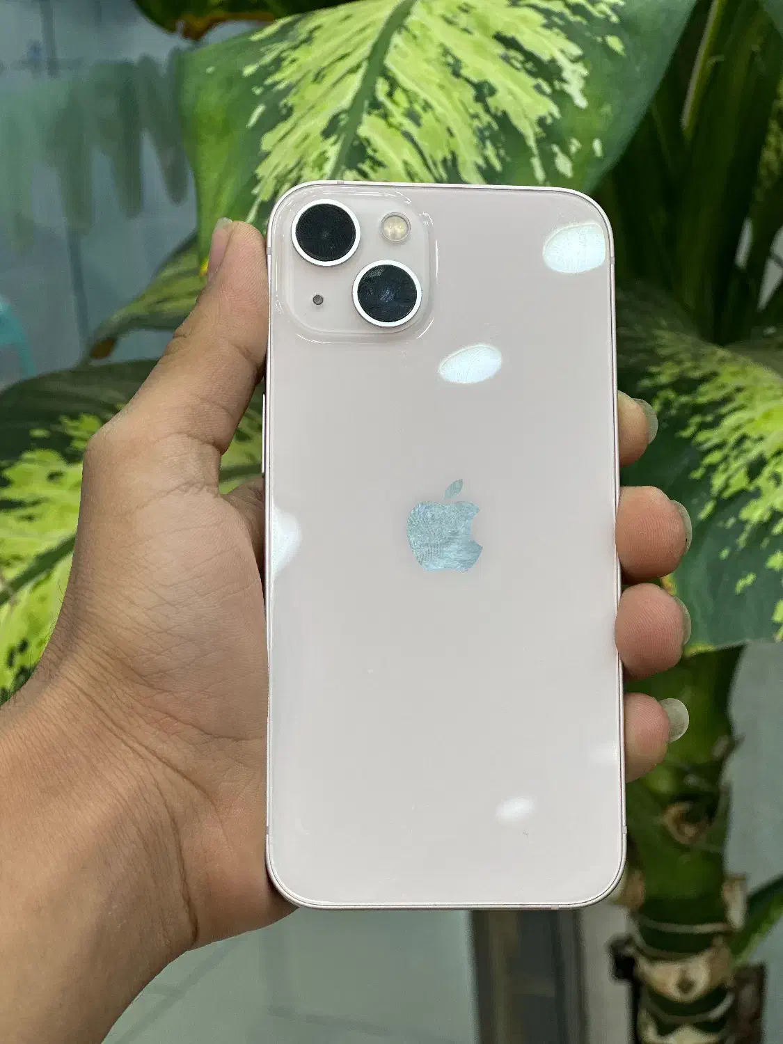 اپل ۱۳نرمال دو سیم|موبایل|میناب, |دیوار