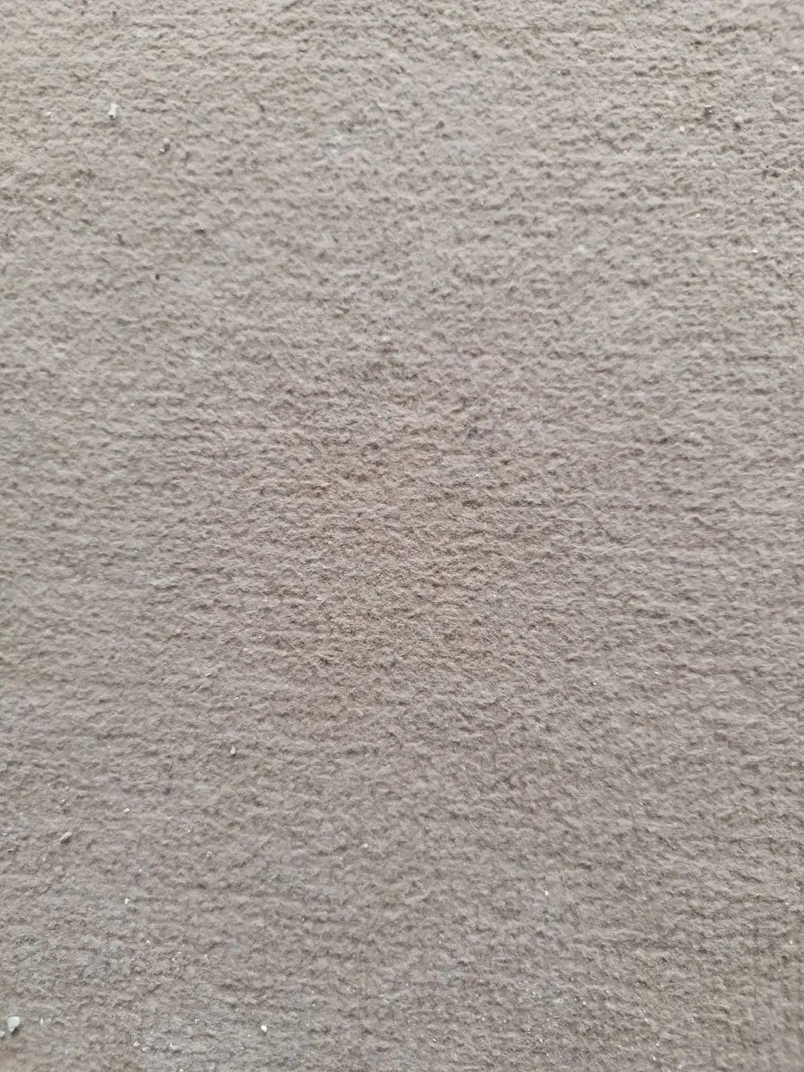 موکت رنگ شتری|موکت|میاندوآب, |دیوار