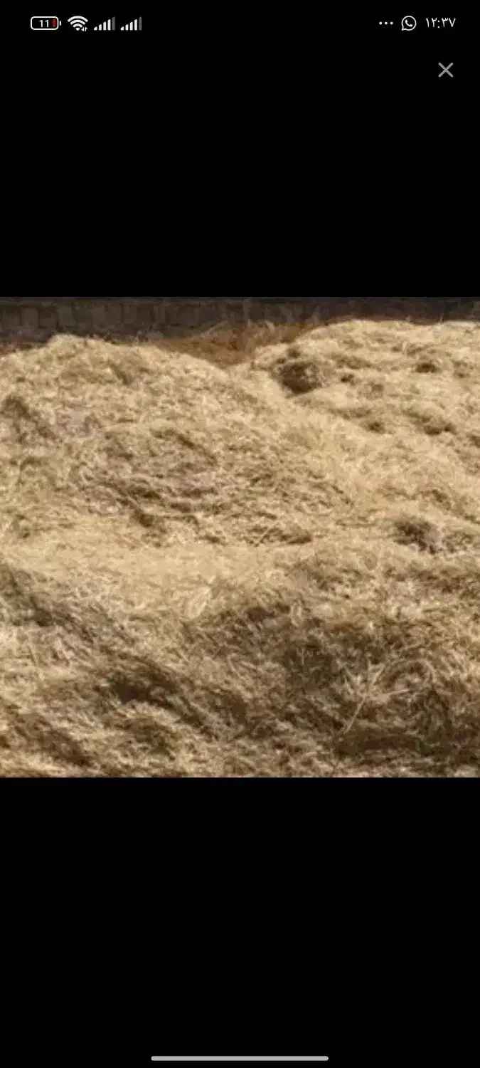 کاه گندم|عمدهفروشی|اسفراین, |دیوار