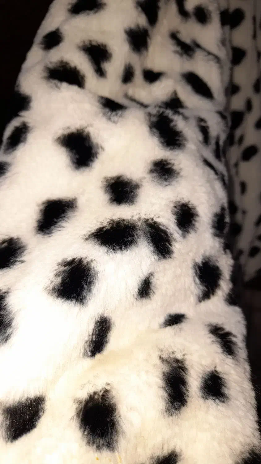 کاپشن تدی|لباس|رشت, دروازه لاکان|دیوار