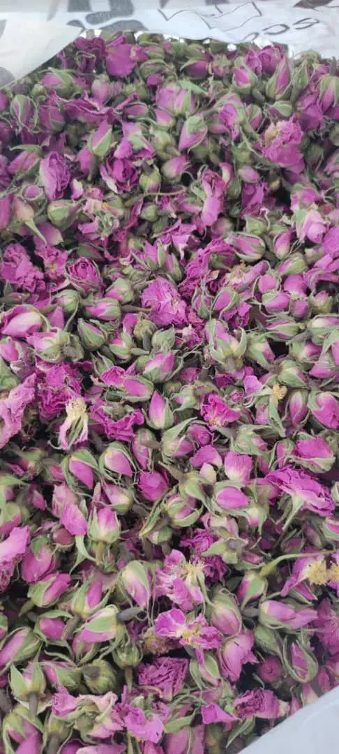 غنچه گل محمدی|خوردنی و آشامیدنی|شیراز, میانرود|دیوار