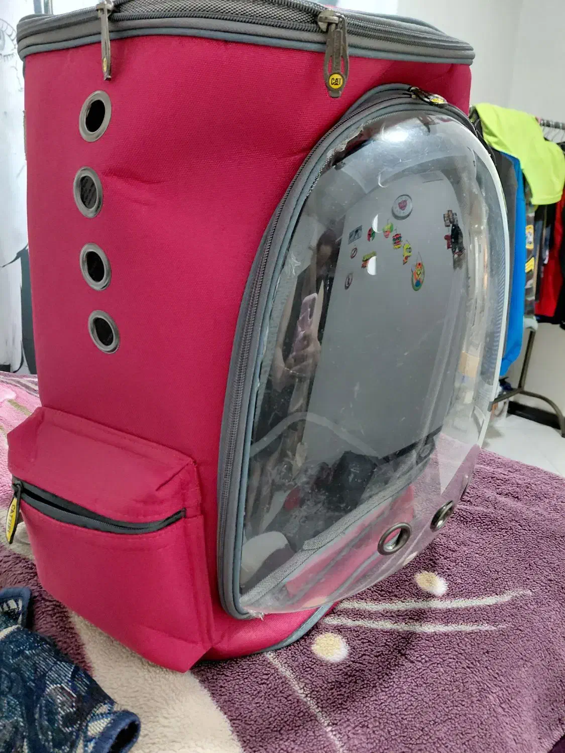 لوازم پت|لوازم جانبی حیوانات|فردیس, شهرک ناز|دیوار