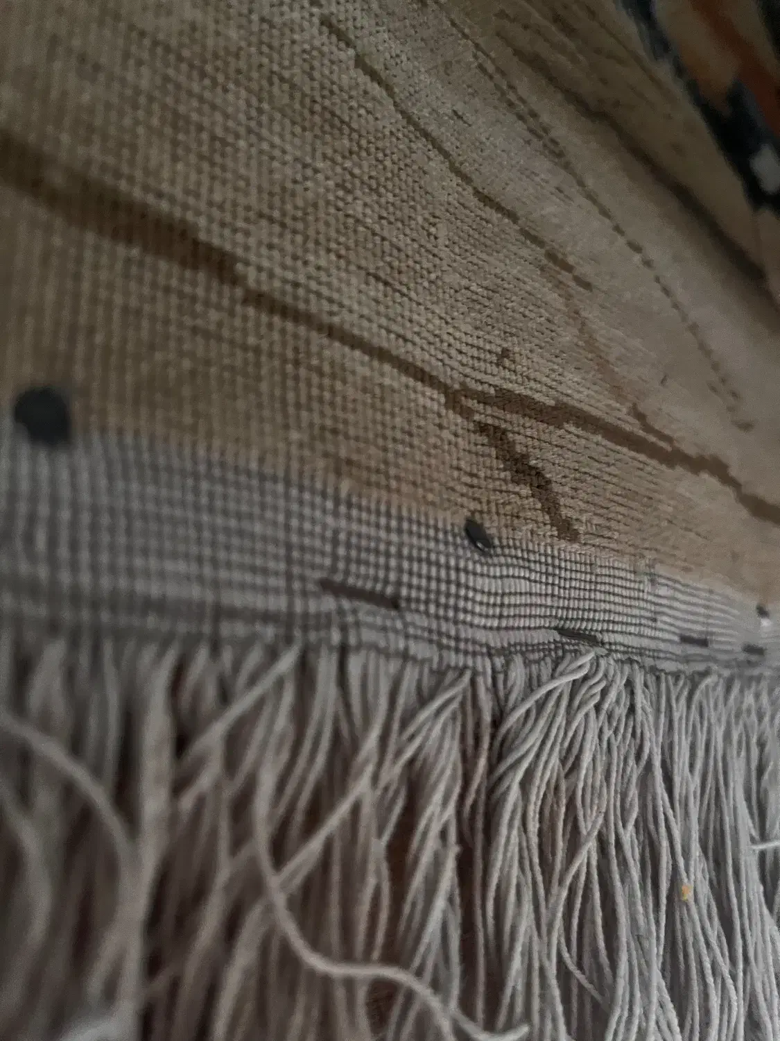 تابلو فرش|تابلو فرش|قم, آزادگان|دیوار