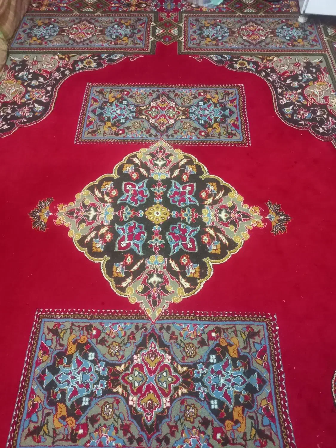 دو عدد فرش|فرش|شیروان (خراسان), |دیوار