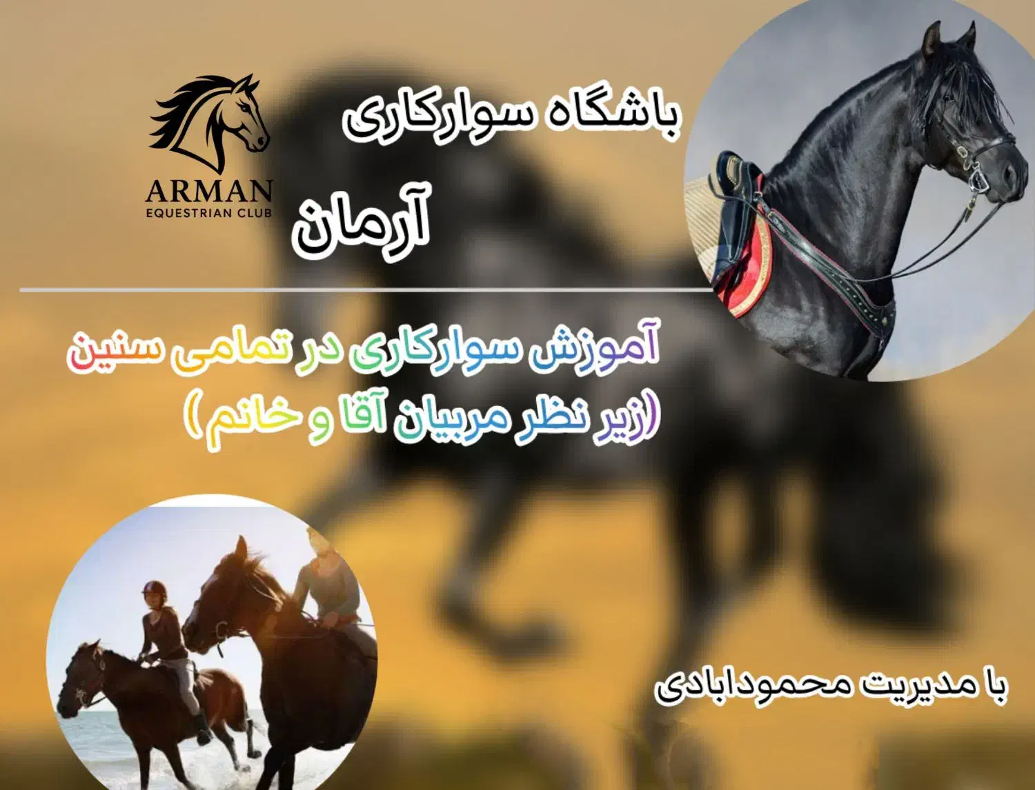 آموزش سوارکاری|خدمات آموزشی|سیرجان, |دیوار