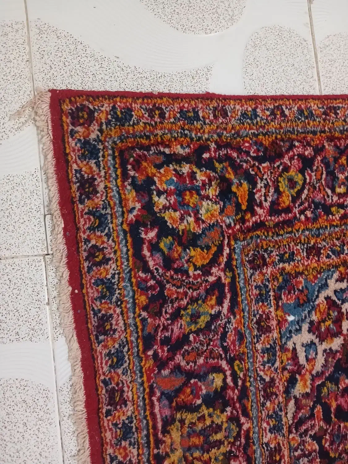 قالی|فرش|رفسنجان, |دیوار