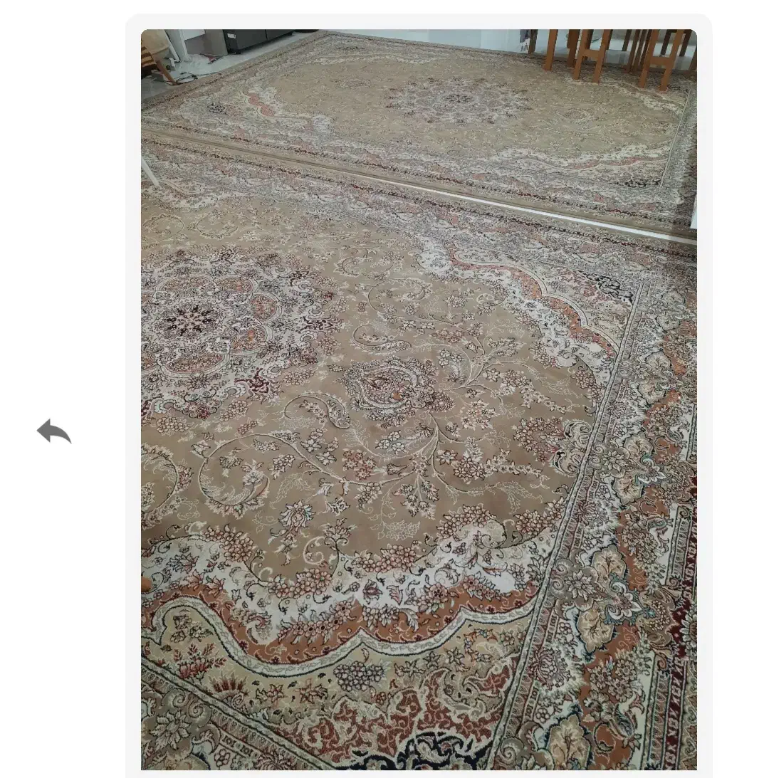 فرش ۱۲متری جفت گردویی|فرش|شاهرود, |دیوار