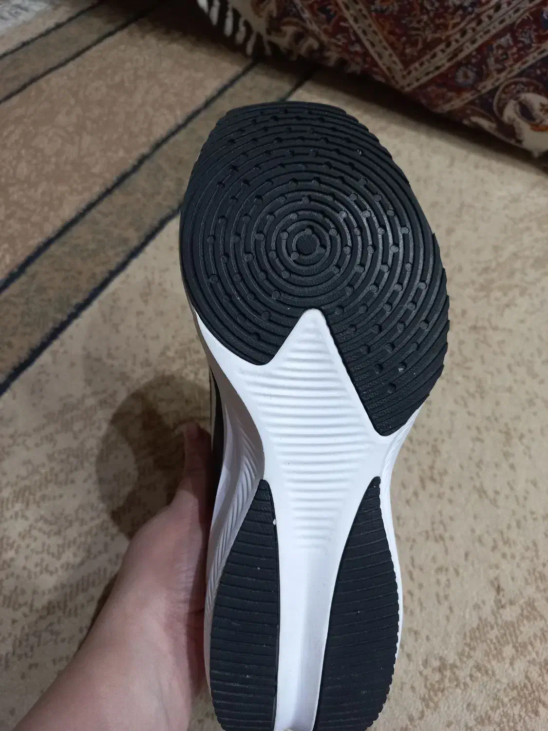 کتونی|کیف، کفش، کمربند|تهران, زنجان جنوبی|دیوار