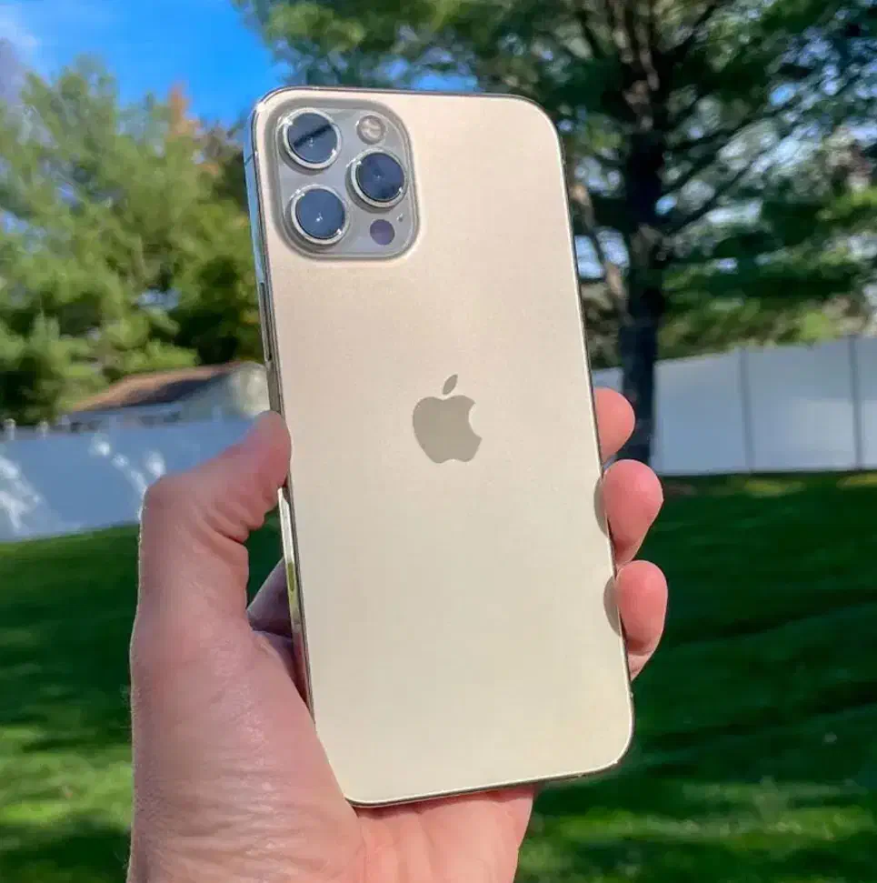iPhone 12 Pro Max|موبایل|فردیس, قریشی|دیوار