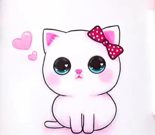 حیوانات پیدا شده (بچه گربه)|حیوانات|تبریز, |دیوار