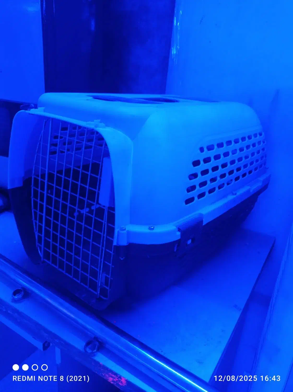 جای خواب گربه سگ|لوازم جانبی حیوانات|تبریز, |دیوار