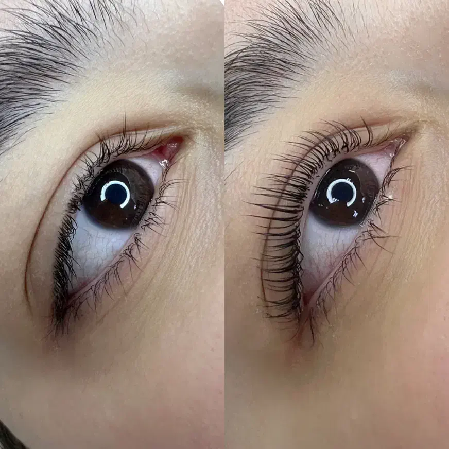 اکستنشن مژه و لیفت مژه و ابرو|خدمات آرایشگری و زیبایی|رشت, دیلمان|دیوار