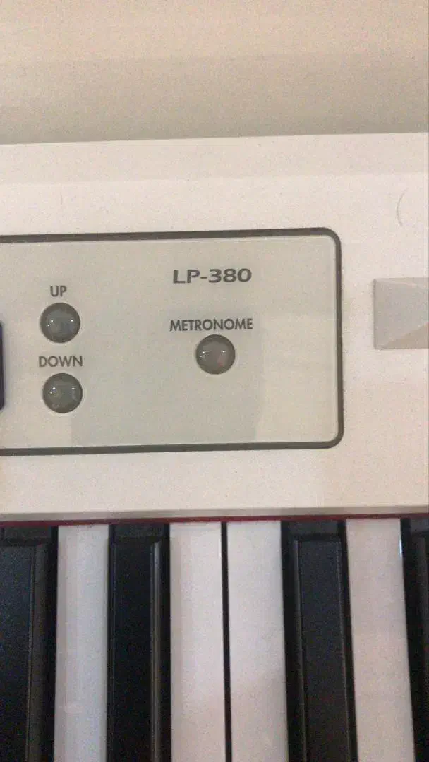 پیانو|پیانو، کیبورد، آکاردئون|کرج, گلشهر|دیوار