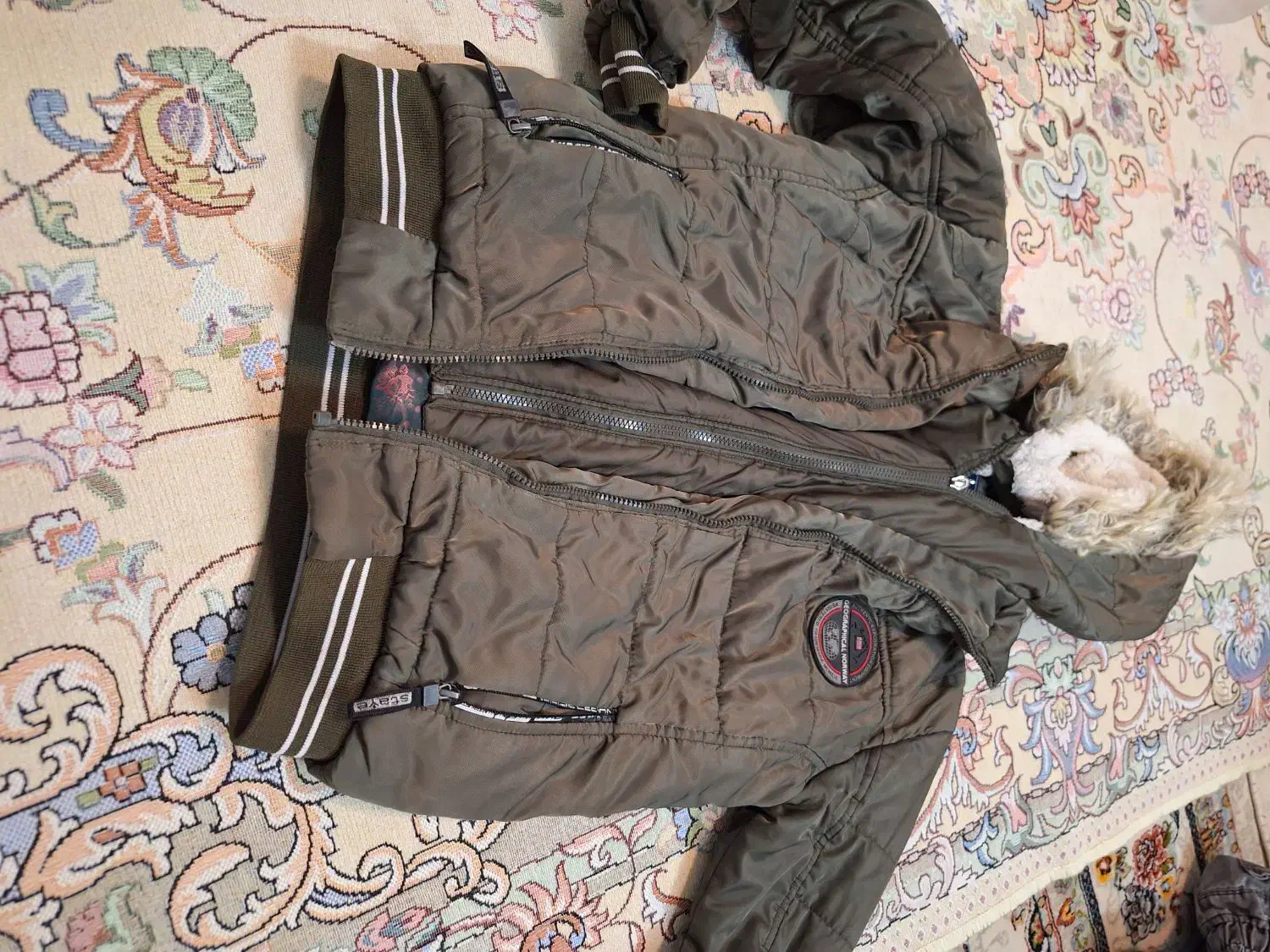 یک عدد کاپشن خارجی همراه باسوشرت|کفش و لباس بچه|چهاردانگه (تهران), |دیوار