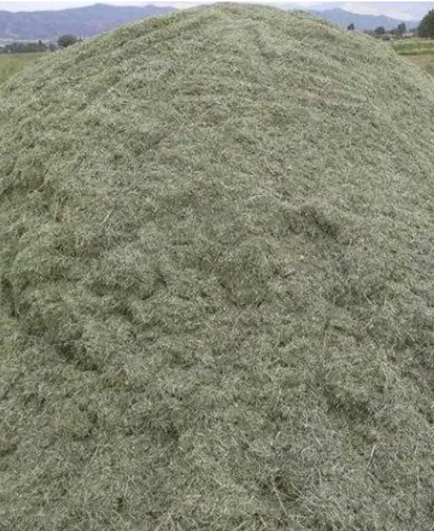 علف خردشده|لوازم جانبی حیوانات|بیجار, |دیوار