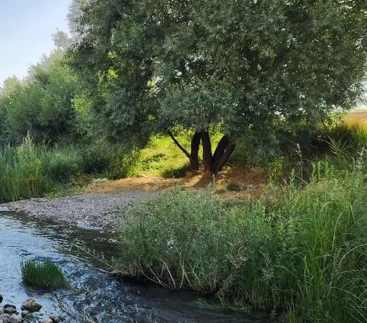 تور|تور و چارتر|سنندج, |دیوار