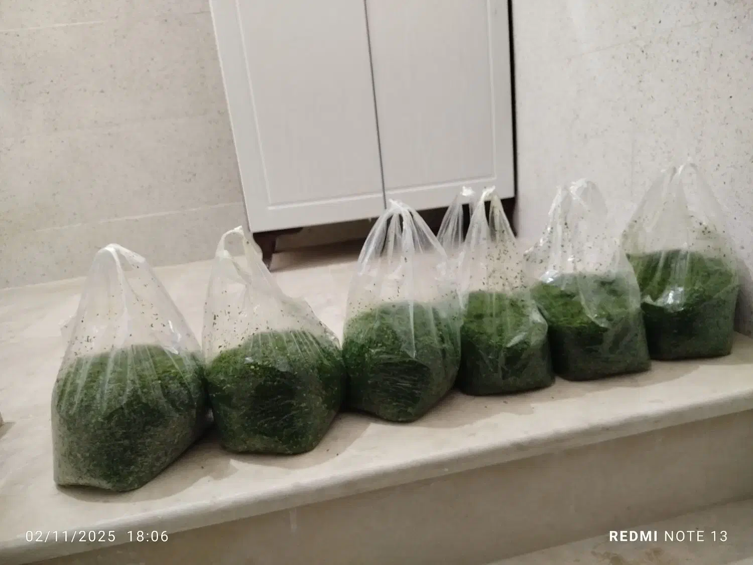 سبزی اماده|خوردنی و آشامیدنی|نهاوند, |دیوار