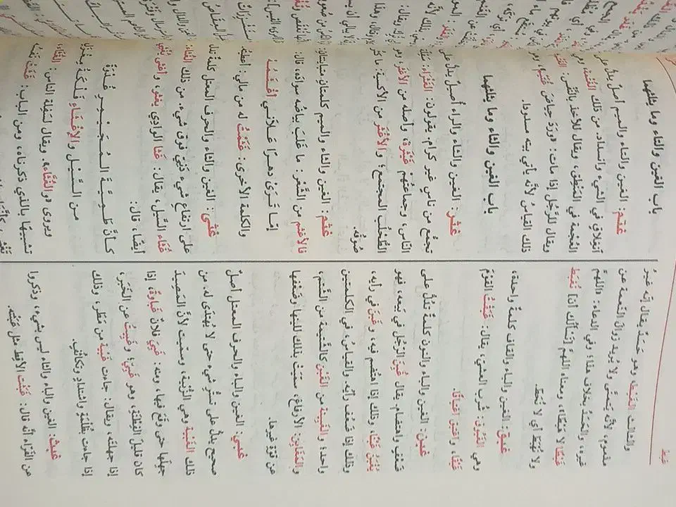 کتابهای کهن لغوی قاموس المحیط، مقاییس اللغه|کتاب و مجله تاریخی|قم, امامزاده ابراهیم|دیوار