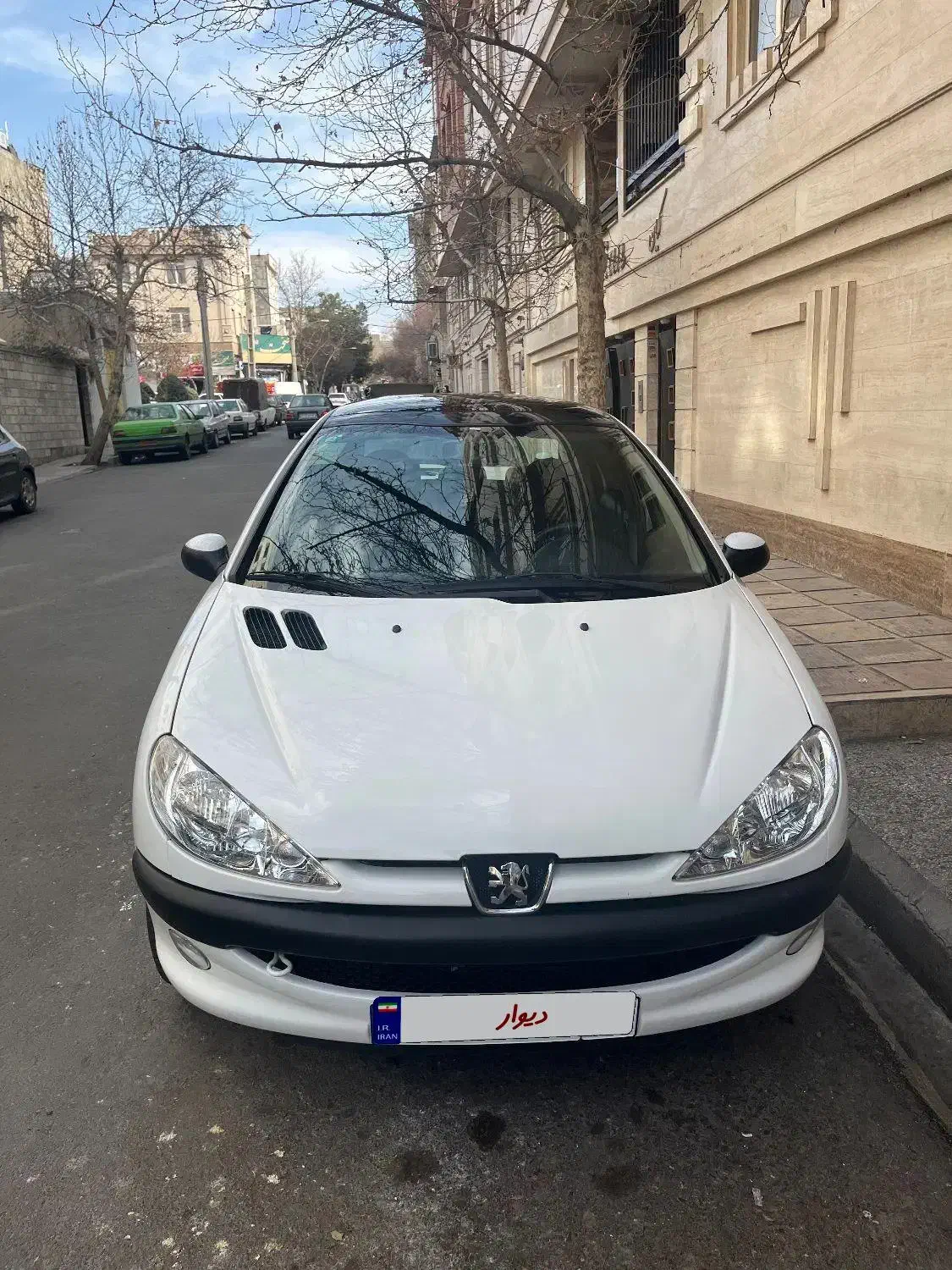 206 پانا مدل 1401|خودرو سواری و وانت|تهران, تهرانپارس شرقی|دیوار