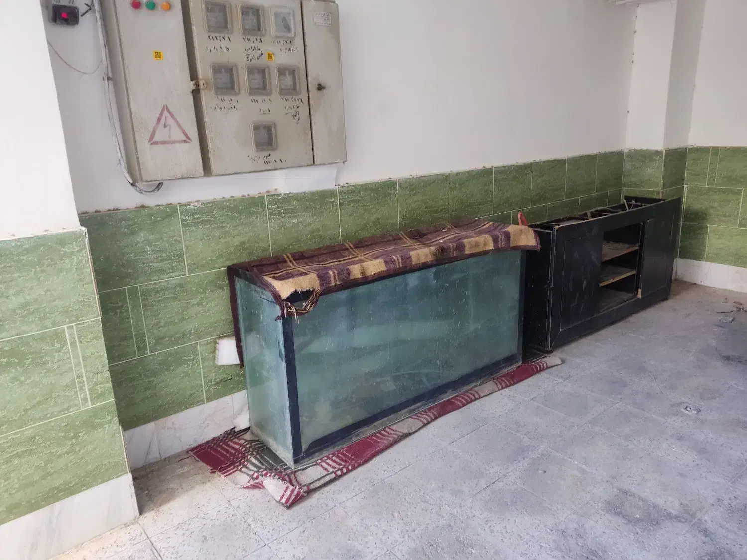 اکواریوم|ماهی|اراک, |دیوار