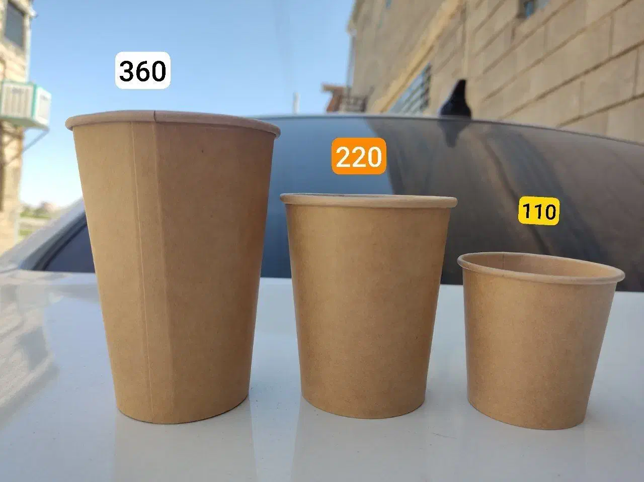 لیوان کاغذی در تمامی سایزها|ظروف نگهدارنده، پلاستیکی، یکبارمصرف|مشهد, خواجه ربیع|دیوار