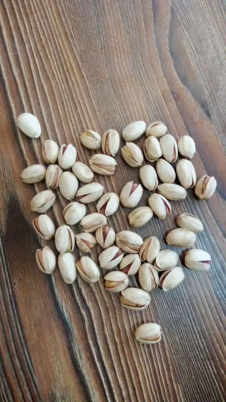 خشک دامغان|خوردنی و آشامیدنی|تهران, بهداشت|دیوار