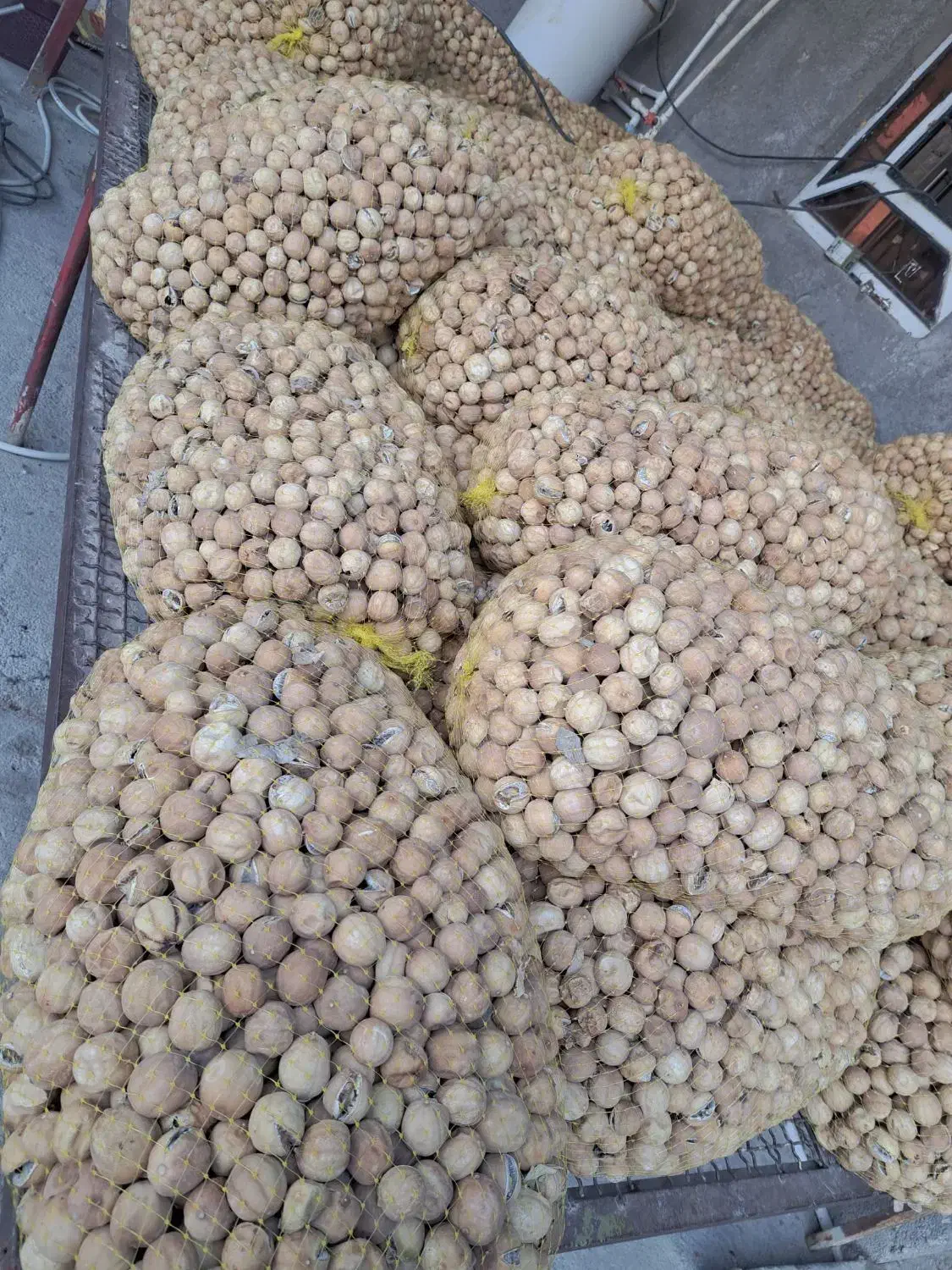 لیموخشک|خوردنی و آشامیدنی|اصفهان, قهجاورستان|دیوار