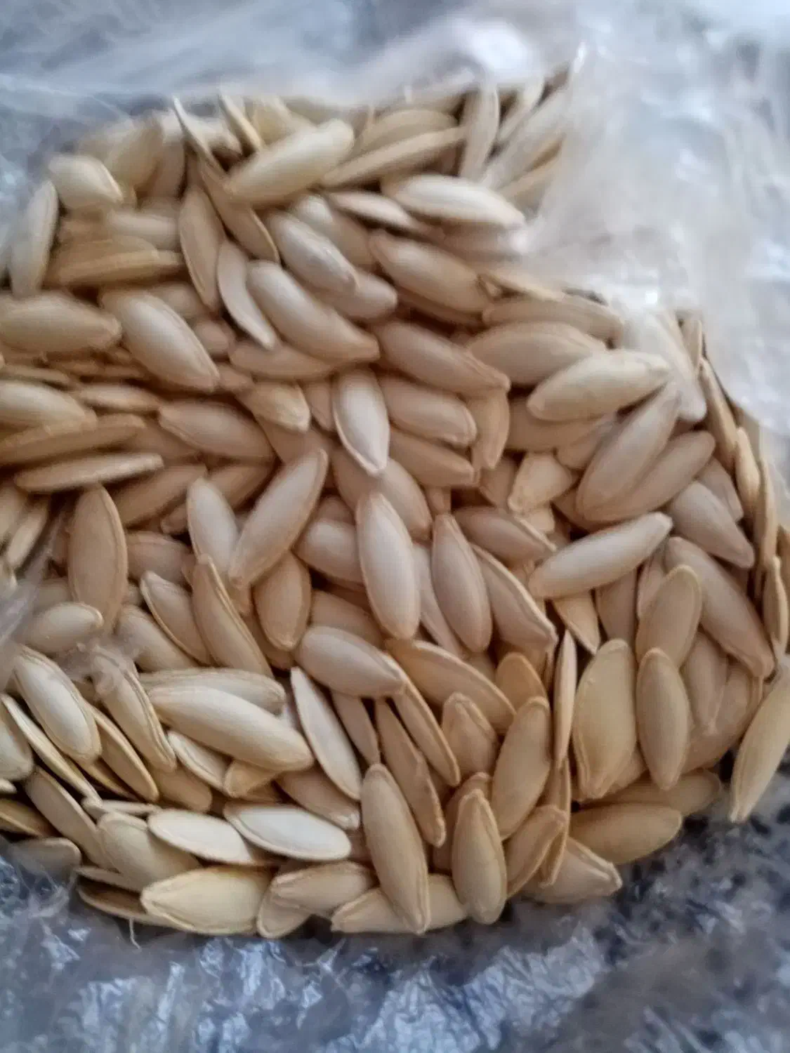 نخود عدس تخمه کدو|خوردنی و آشامیدنی|بهمن صغاد, |دیوار