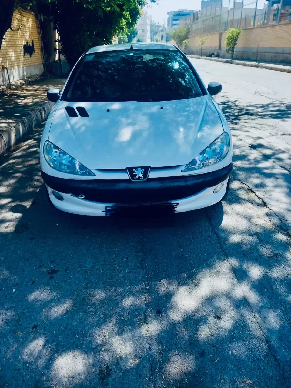 206 SdV8|خودرو سواری و وانت|بوشهر, |دیوار