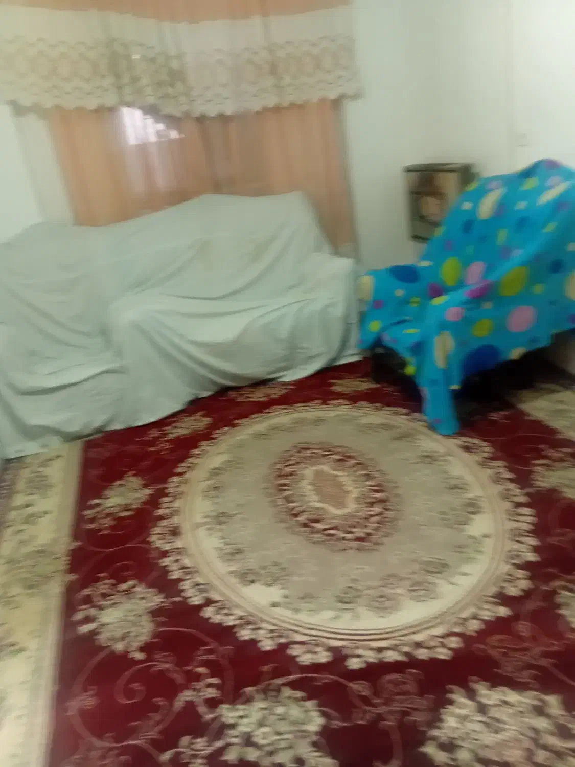 اجاره خانه ویلایی ۸۰ متری ۱ خوابه در هفت تنان|اجارهٔ خانه و ویلا|شیراز, هفت تنان|دیوار