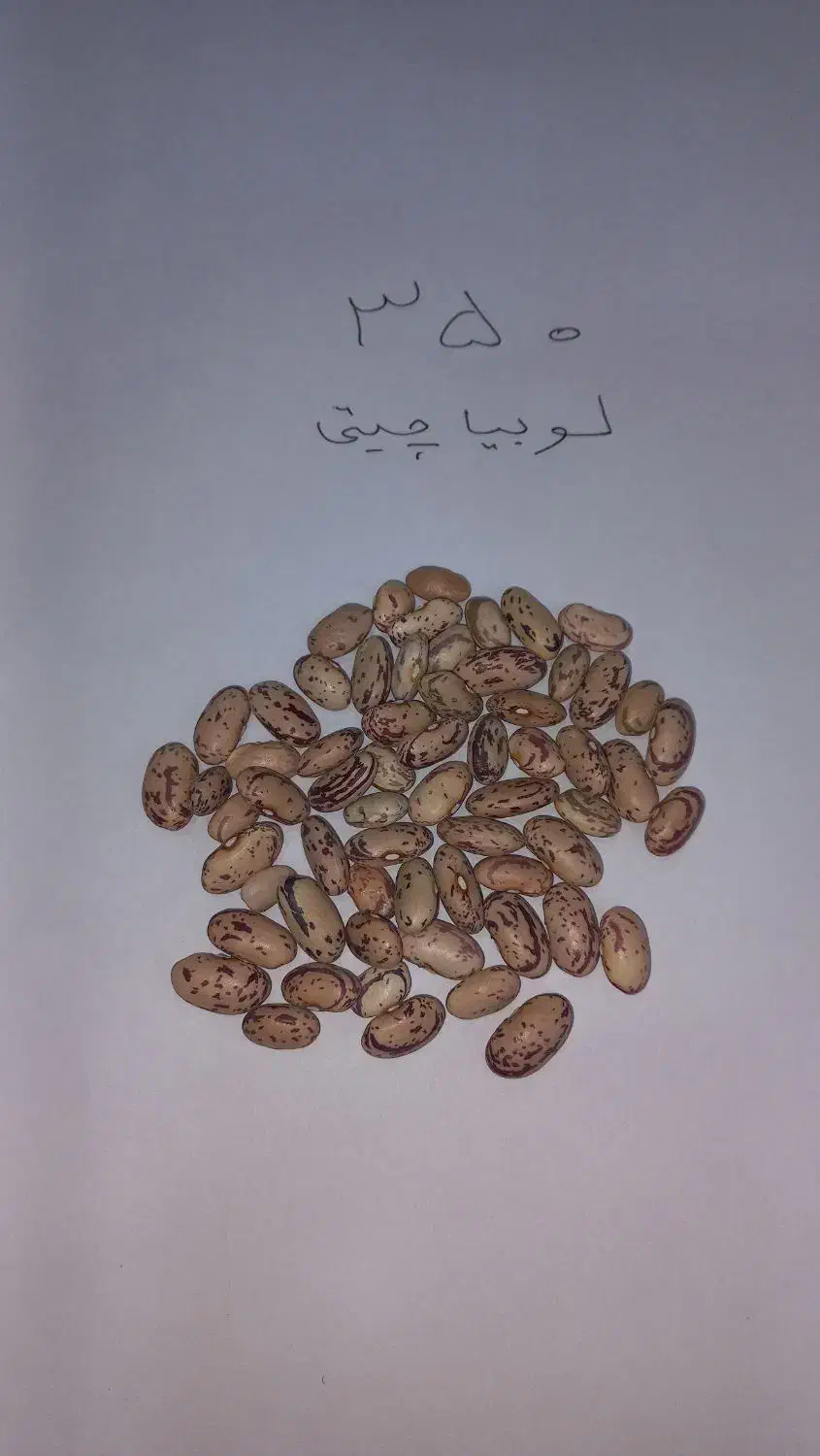 رب گوجه تن ماهی لوبیا چیتی...زیر قیمت|خوردنی و آشامیدنی|تهران, صادقیه|دیوار