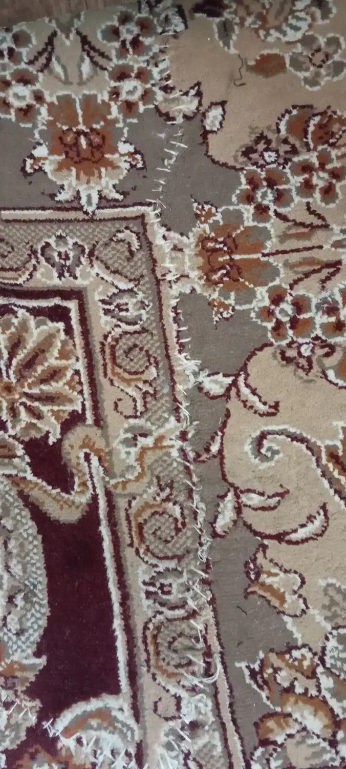 قالی۲/۳|فرش|چناران, |دیوار
